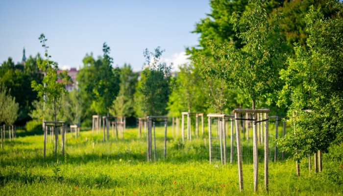 Environmentální park Škrlovec