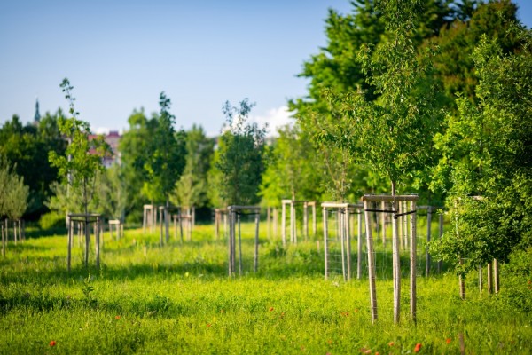 Environmentální park Škrlovec