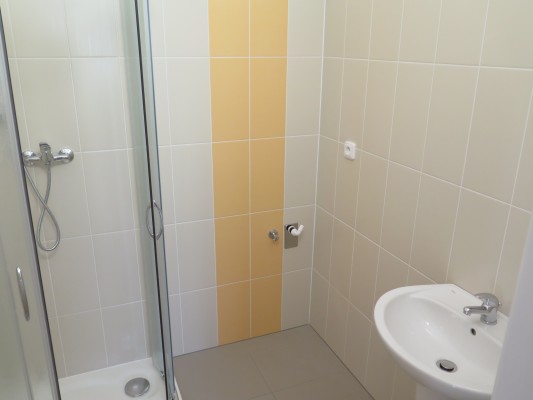 Rekonstrukce garsoniér a dvojpokojových bytů v Domě s pečovatelskou službou - záměr č. 258