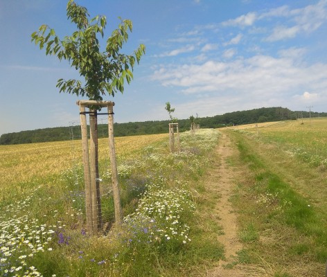 Interakční prvky Uherský Brod