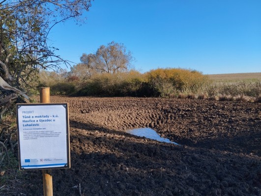 Tůně a mokřady Pod Kojinami a Lány, Uherský Brod