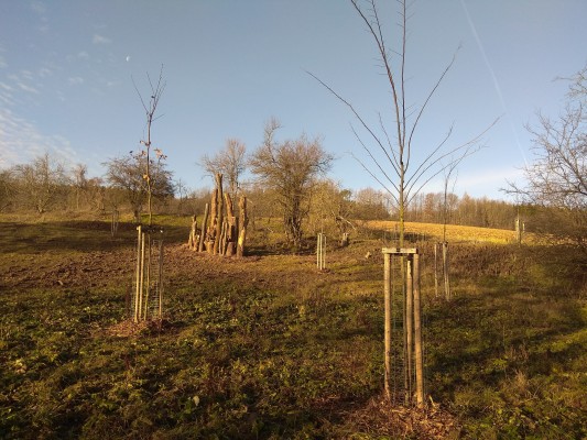 Návrh krajinné zeleně v lokalitě Zákřov - záměr č.  263