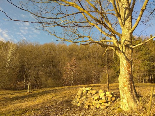 Návrh krajinné zeleně v lokalitě Zákřov - záměr č.  263
