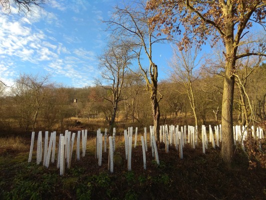 Návrh krajinné zeleně v lokalitě Zákřov - záměr č.  263