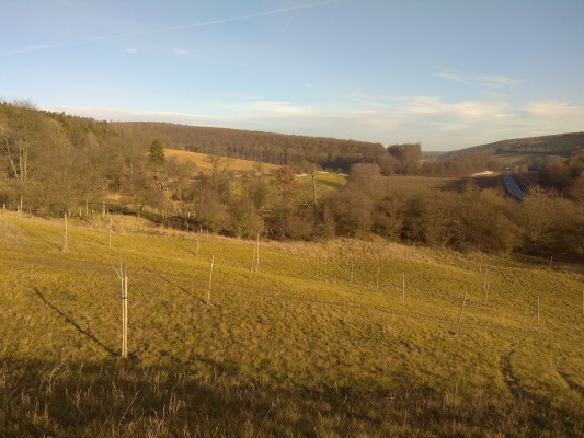 Návrh krajinné zeleně v lokalitě Zákřov - záměr č.  263