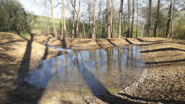 Krajinné úpravy údolnice potoka Hořenůšek - Újezdec u Luhačovic