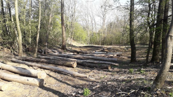 Krajinné úpravy údolnice potoka Hořenůšek - Újezdec u Luhačovic