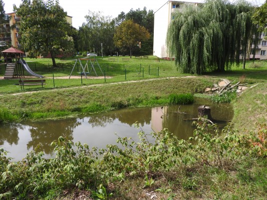 Vinohradský potok po realizaci