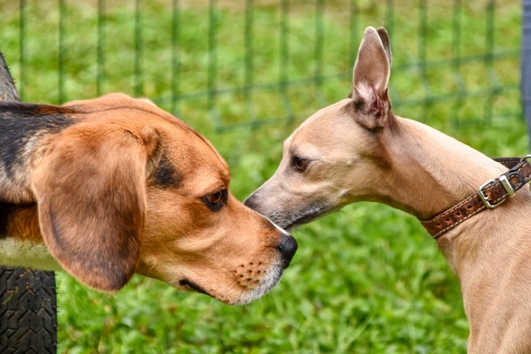 Slavnostní otevření