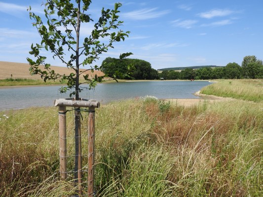 Vodní nádrž za mlýnem v k. ú. Újezdec - záměr č. 241