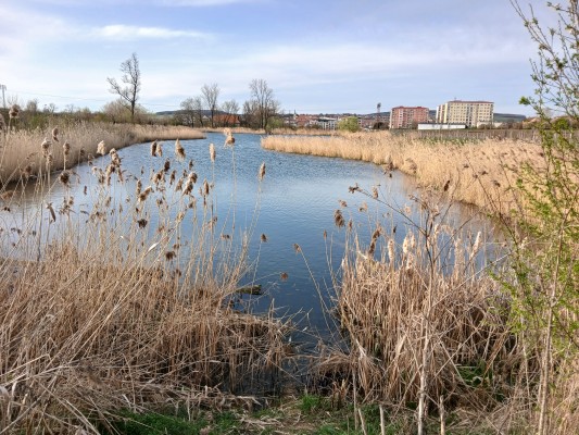 Revitalizovaný rybník