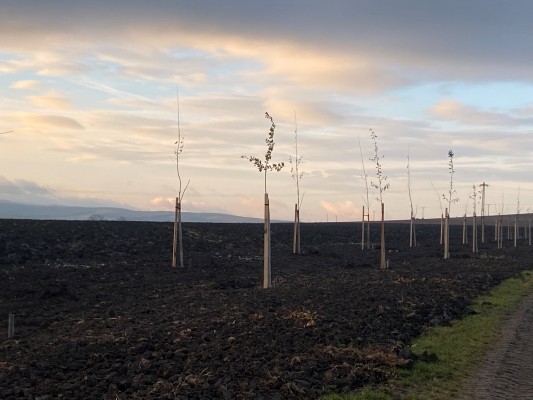 Vegetační prvky v krajině dle KPÚ v k.ú. Uherský Brod, Újezdec u Luhačovic a Maršov