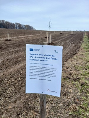 Vegetační prvky v krajině dle KPÚ v k.ú. Uherský Brod, Újezdec u Luhačovic a Maršov