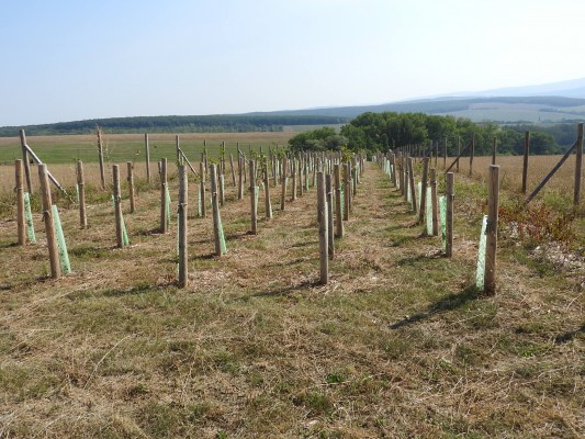 Zakládání prvků ÚSES - I. etapa, Uherský Brod a Újezdec u Luhačovic