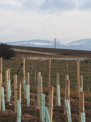 Zakládání prvků ÚSES - I. etapa, Uherský Brod a Újezdec u Luhačovic