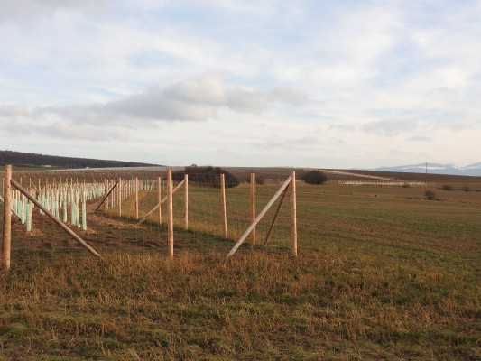 Zakládání prvků ÚSES - I. etapa, Uherský Brod a Újezdec u Luhačovic