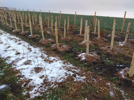 Zakládání prvků ÚSES - I. etapa, Uherský Brod a Újezdec u Luhačovic