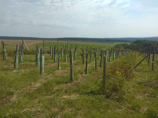 Zakládání prvků ÚSES - I. etapa, Uherský Brod a Újezdec u Luhačovic