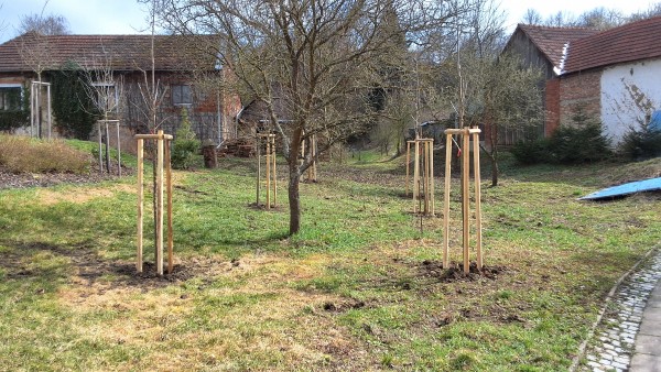 Lokalita Maršov po realizaci (2025, vlastní fotografie)