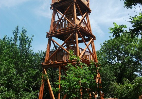 Rozhledna