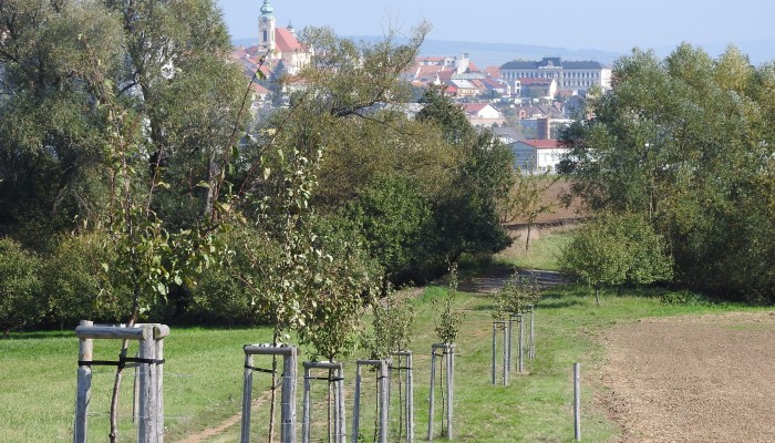Cyklotrasa UB - Vlčnov - záměr č. 041