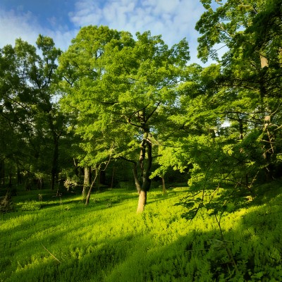 Zelené cesty mětem – III. etapa